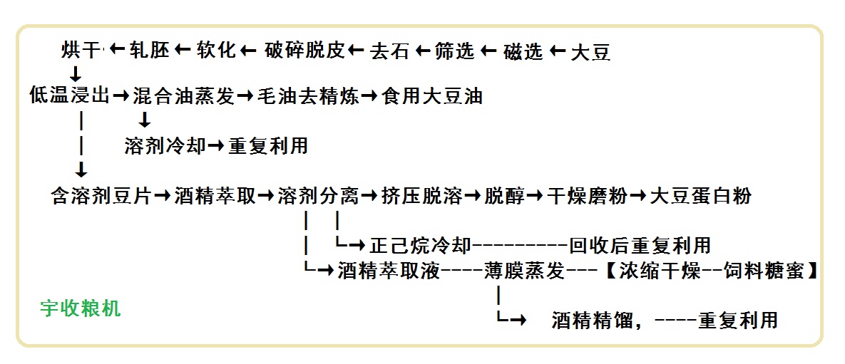 大豆蛋白.jpg