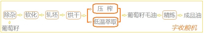 压榨葡萄籽 低温萃取.jpg